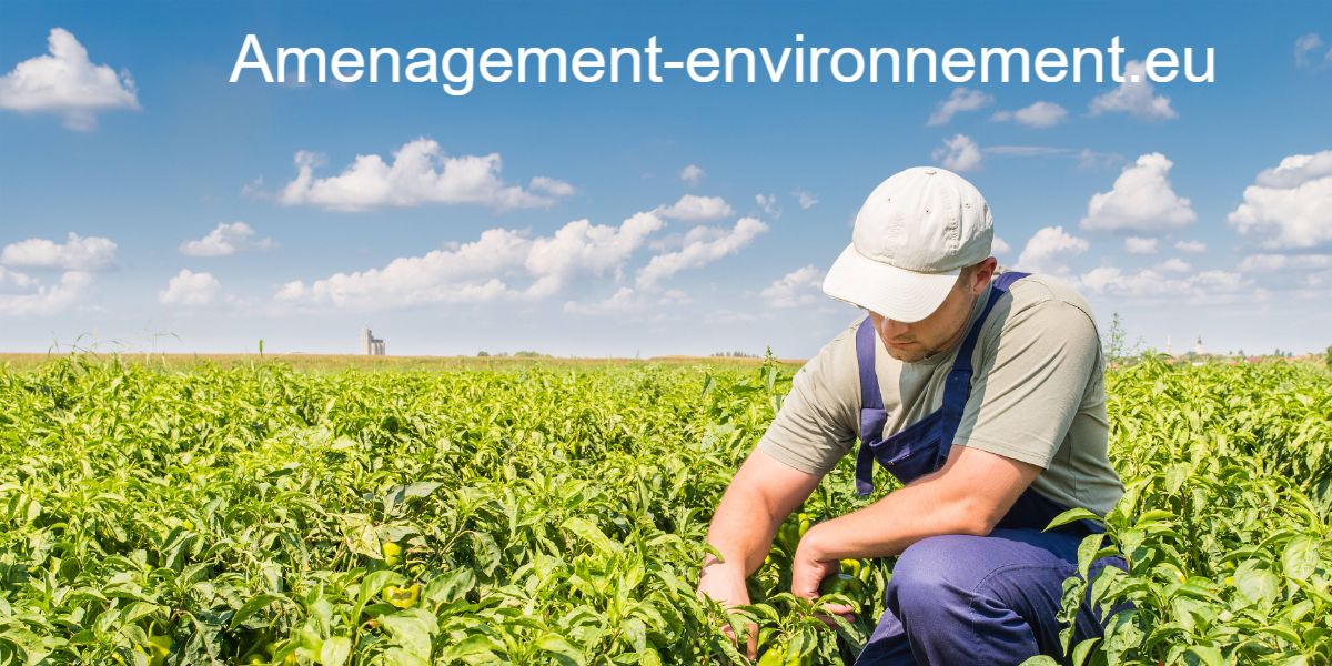 amenagement-environnement.byblogger.net